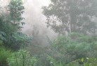 Mount Lawlesslandscaping-irrigation-4.jpg; ?>